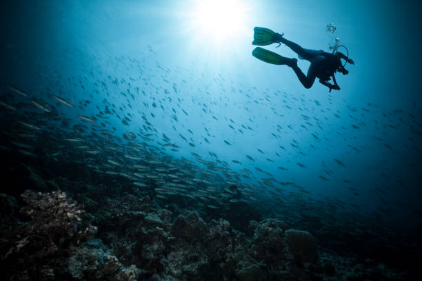 Submerged Wonders: The Quest to Dive Deeper