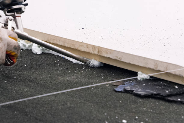 Step-by-Step Guide to Basement Waterproofing