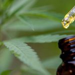 Why CBD Oil is Revolutionizing Natural Health and Wellness