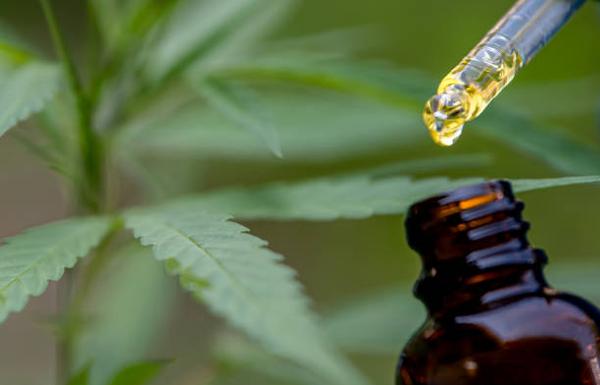 Why CBD Oil is Revolutionizing Natural Health and Wellness